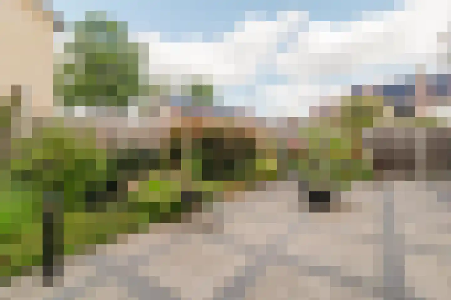 Els 7 Heino thumbnail 25