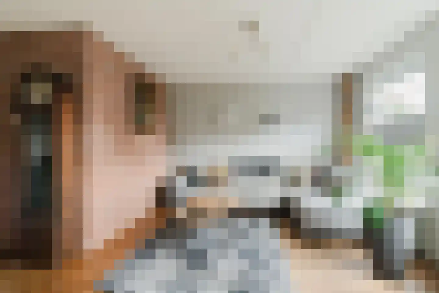 Els 7 Heino thumbnail 4