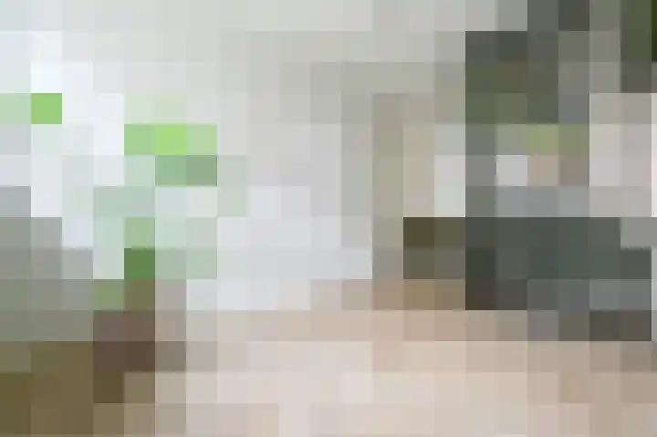 Els Eekhouttestraat 22 Putten thumbnail 14
