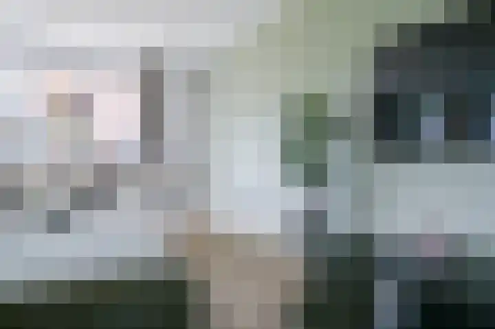 Els Eekhouttestraat 22 Putten thumbnail 15