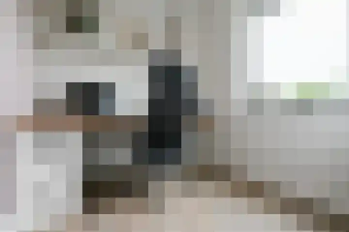 Els Eekhouttestraat 22 Putten thumbnail 28