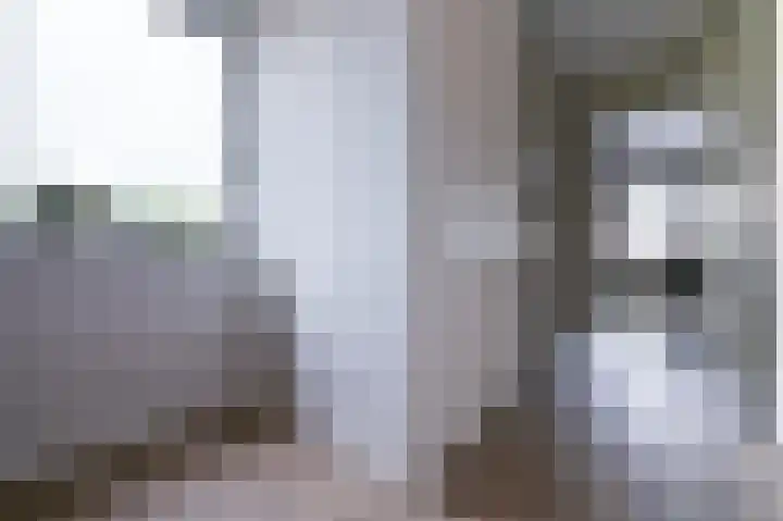 Els Eekhouttestraat 22 Putten thumbnail 29
