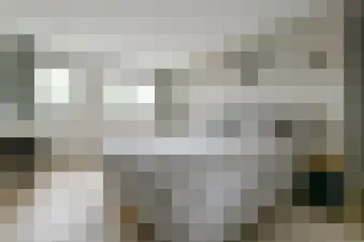 Els Eekhouttestraat 22 Putten thumbnail 30