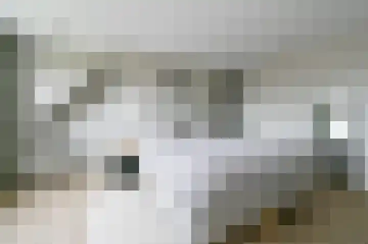 Els Eekhouttestraat 22 Putten thumbnail 31