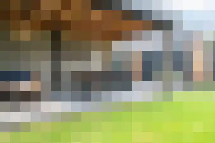 Els Eekhouttestraat 22 Putten thumbnail 41