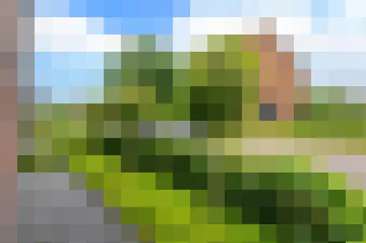 Els Eekhouttestraat 22 Putten thumbnail 46
