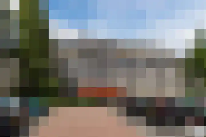 Photo of Els van den Tempel