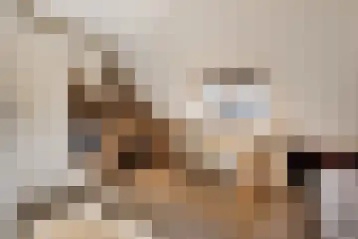 Els van Roodenstraat 16 Haarlem thumbnail 13