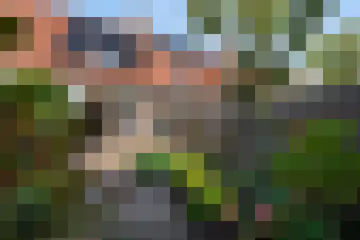 Els van Roodenstraat 16 Haarlem thumbnail 18