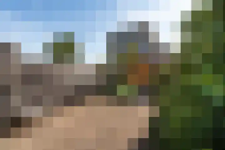Els van Roodenstraat 16 Haarlem thumbnail 20