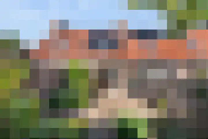 Els van Roodenstraat 16 Haarlem thumbnail 6
