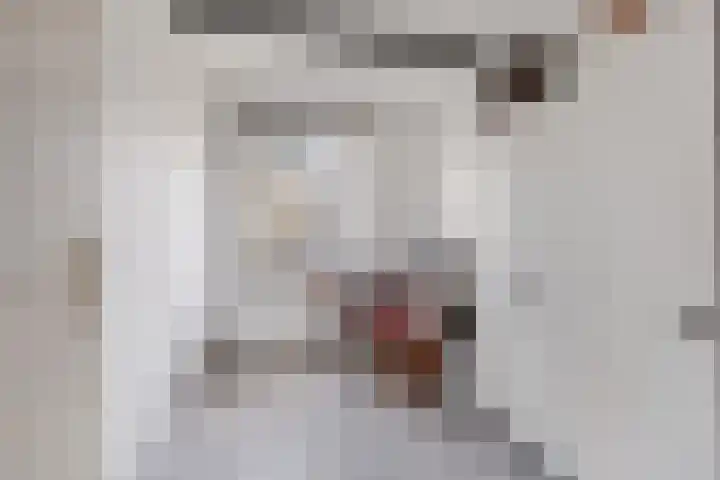 Els van Roodenstraat 17 Haarlem thumbnail 10
