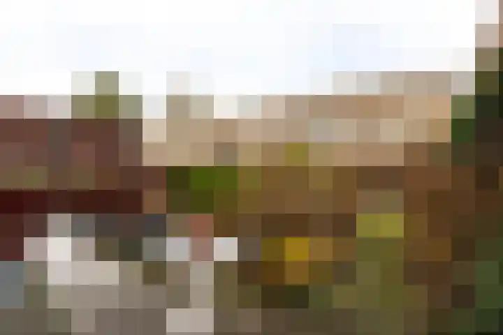 Els van Roodenstraat 17 Haarlem thumbnail 13