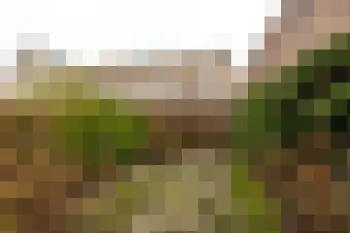 Els van Roodenstraat 17 Haarlem thumbnail 14
