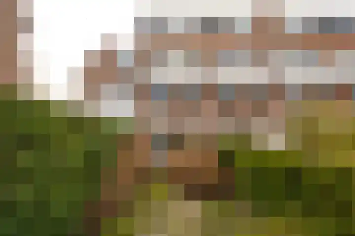 Els van Roodenstraat 17 Haarlem thumbnail 15
