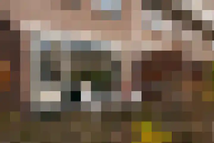 Els van Roodenstraat 17 Haarlem thumbnail 16