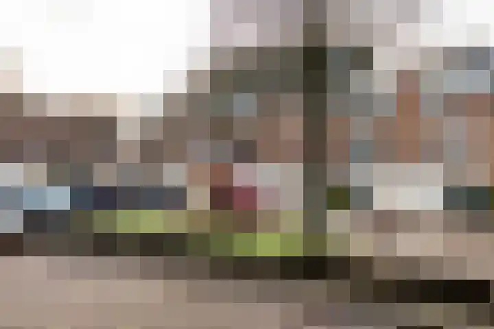 Els van Roodenstraat 17 Haarlem thumbnail 19