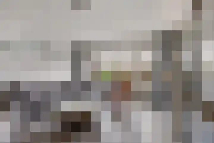 Els van Roodenstraat 17 Haarlem thumbnail 4