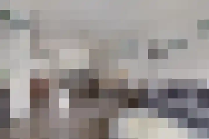 Els van Roodenstraat 17 Haarlem thumbnail 5