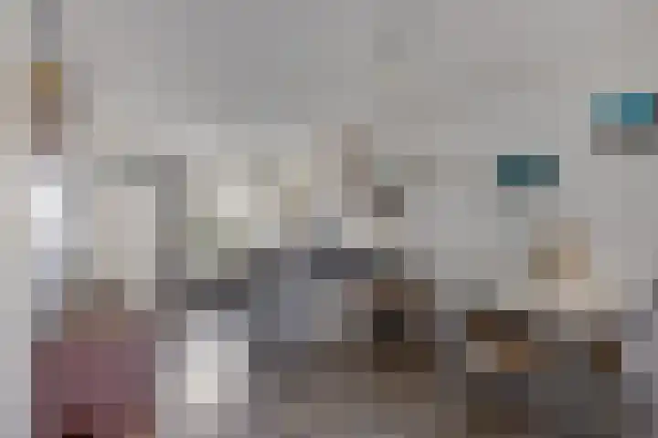 Els van Roodenstraat 17 Haarlem thumbnail 6