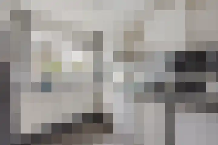 Els van Roodenstraat 17 Haarlem thumbnail 7