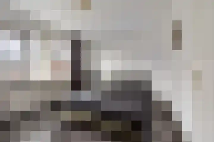 Els van Roodenstraat 17 Haarlem thumbnail 8