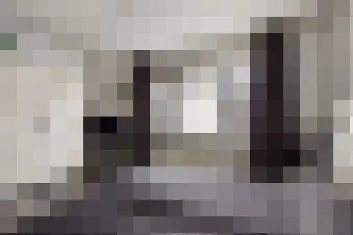 Els van Roodenstraat 17 Haarlem thumbnail 9