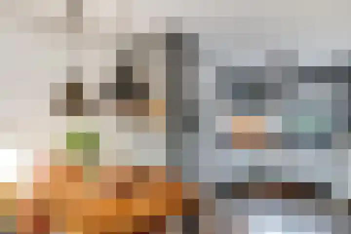 Els van Roodenstraat 38 Haarlem thumbnail 11