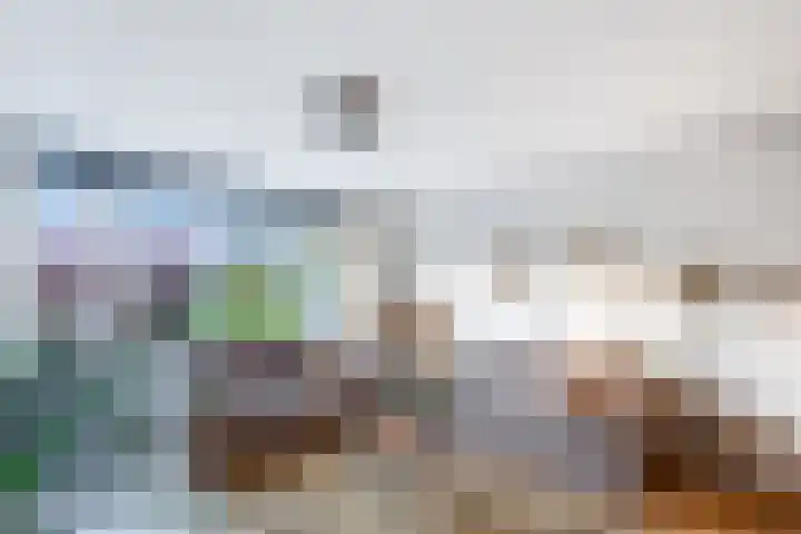 Els van Roodenstraat 38 Haarlem thumbnail 16