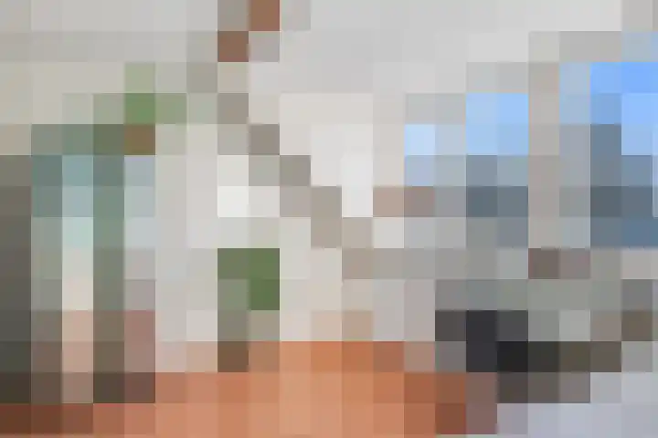 Els van Roodenstraat 38 Haarlem thumbnail 21