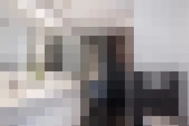 Els van Roodenstraat 38 Haarlem thumbnail 23