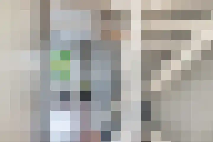 Els van Roodenstraat 38 Haarlem thumbnail 28