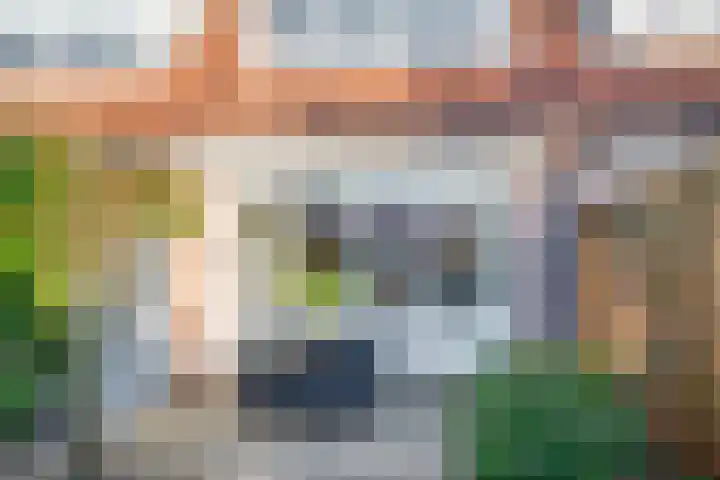 Els van Roodenstraat 38 Haarlem thumbnail 33