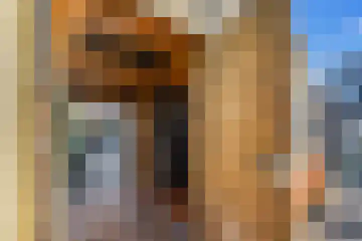 Els van Roodenstraat 38 Haarlem thumbnail 37