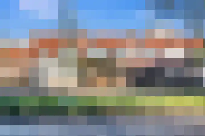 Els van Roodenstraat 38 Haarlem thumbnail 39