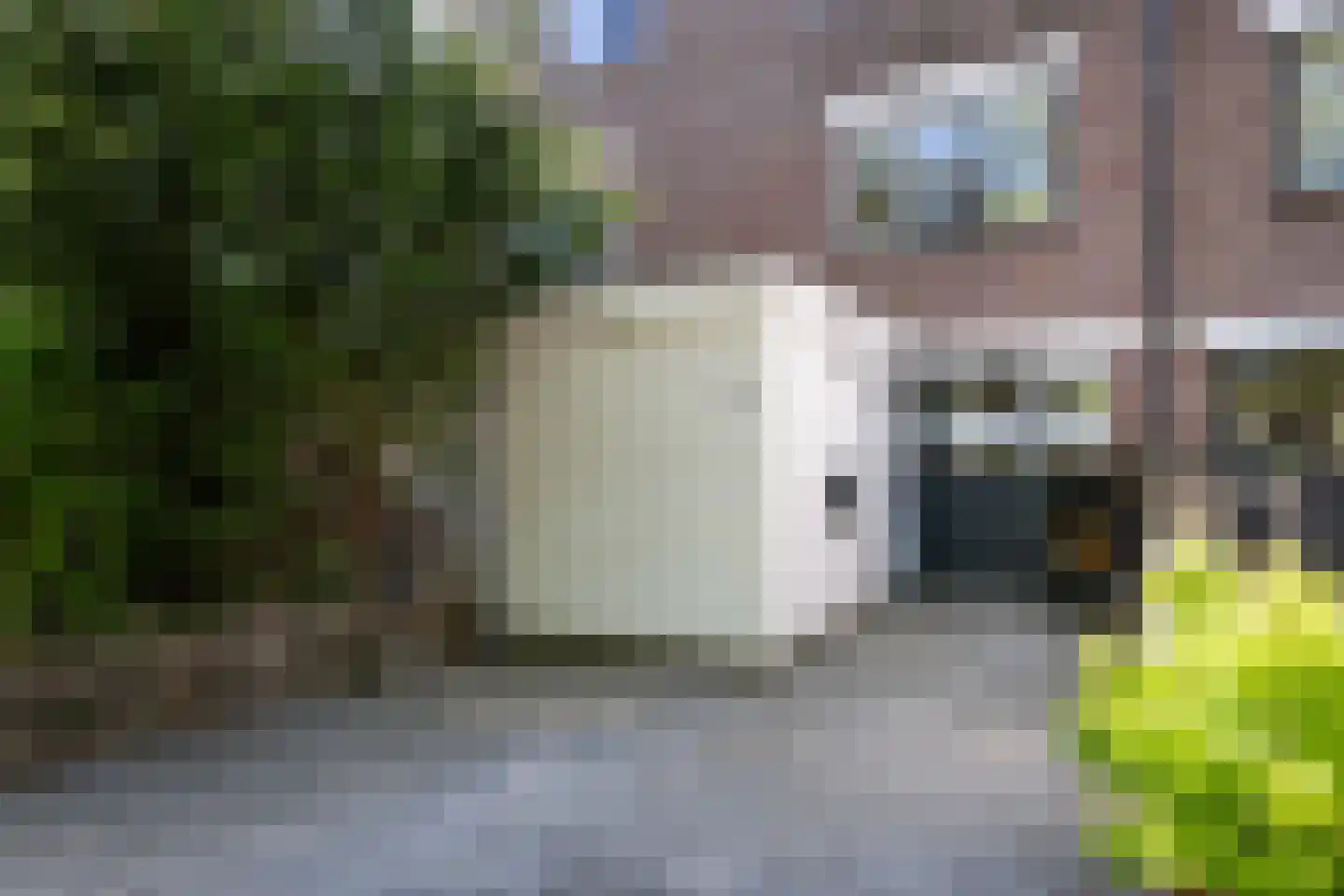 Els van Roodenstraat 54 Haarlem thumbnail 13