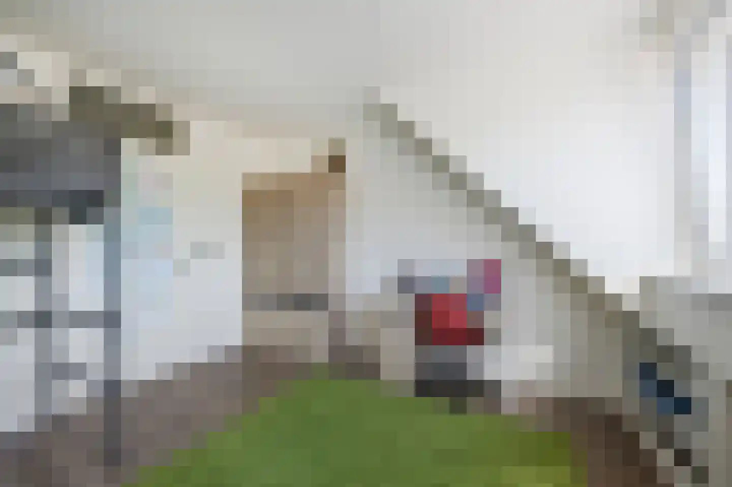 Els van Roodenstraat 54 Haarlem thumbnail 13
