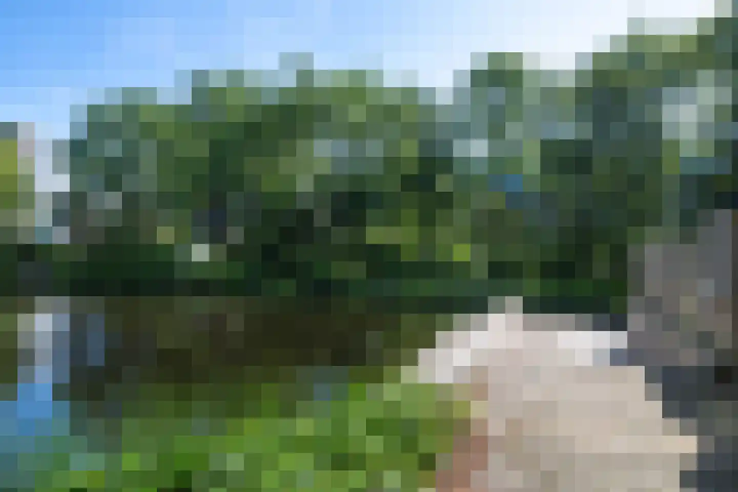 Els van Roodenstraat 54 Haarlem thumbnail 26