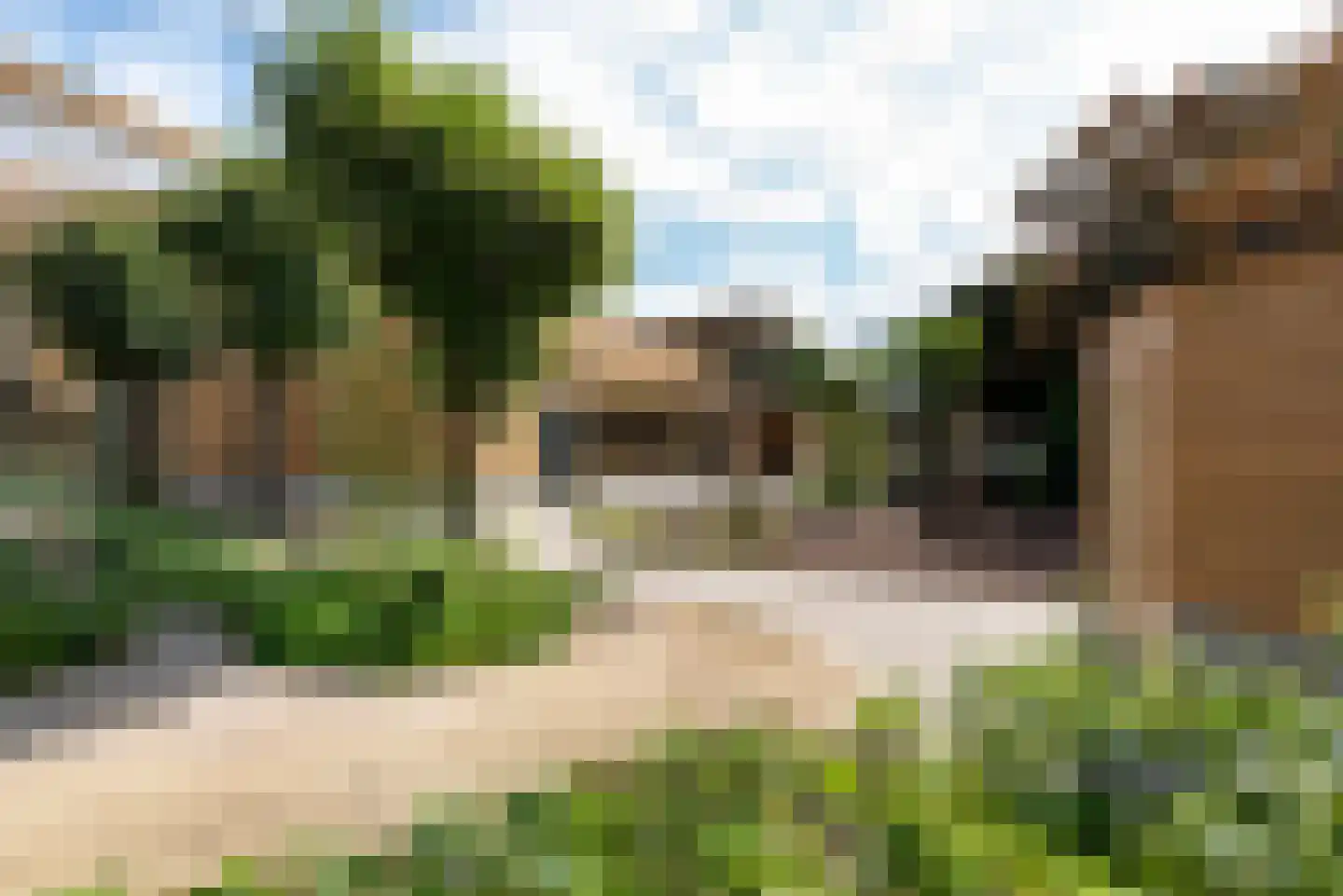 Els van Roodenstraat 54 Haarlem thumbnail 28