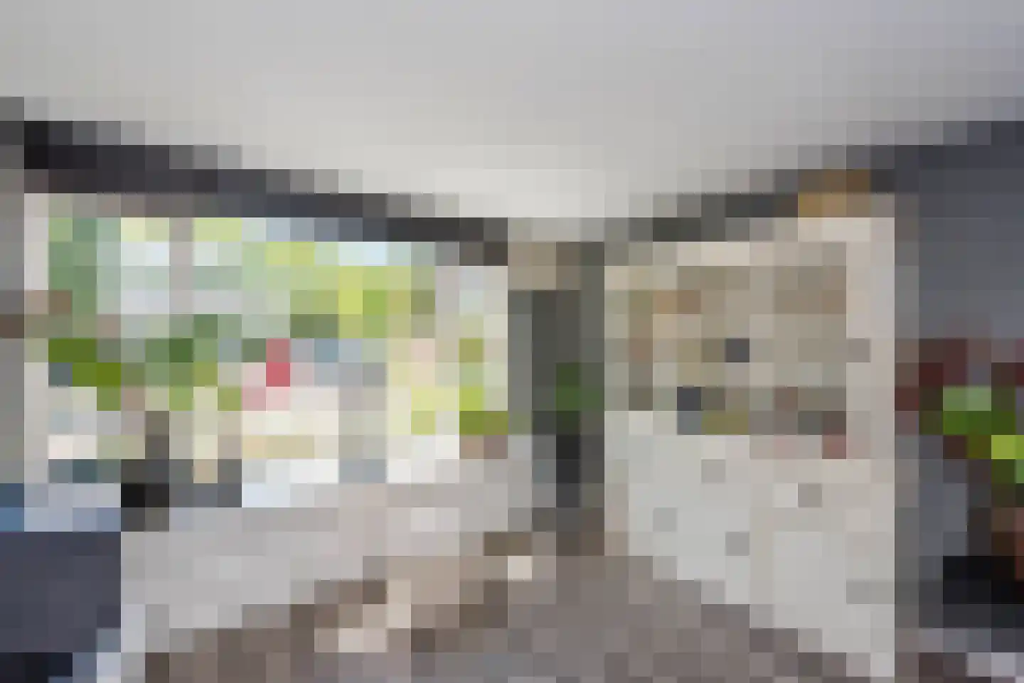 Elsa Brändströmstraat 13 Haarlem thumbnail 11