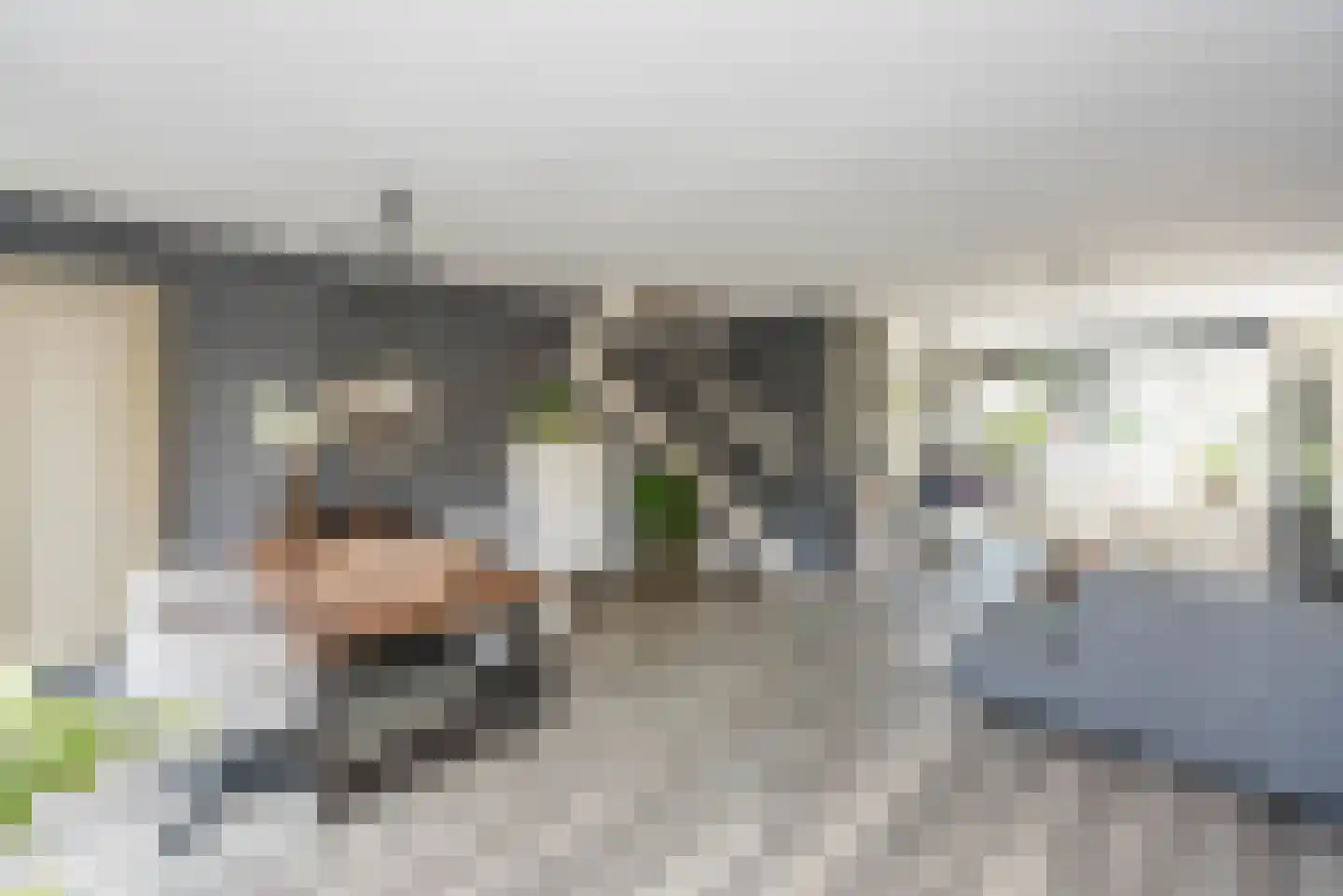 Elsa Brändströmstraat 13 Haarlem thumbnail 18