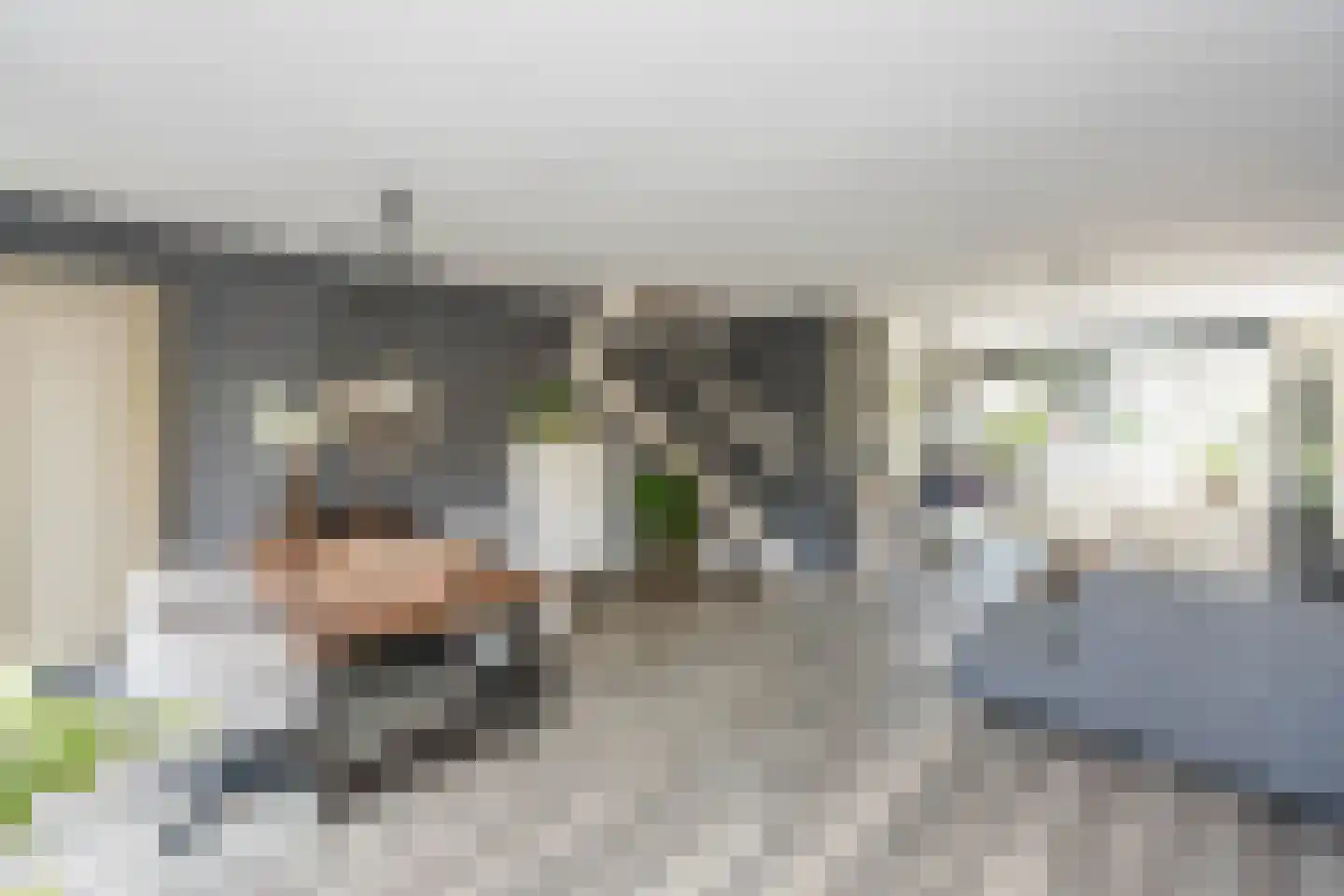 Elsa Brändströmstraat 13 Haarlem thumbnail 18