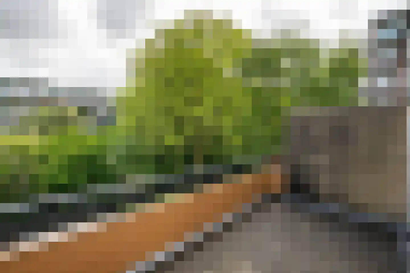Elsa Brändströmstraat 190 Haarlem thumbnail 22