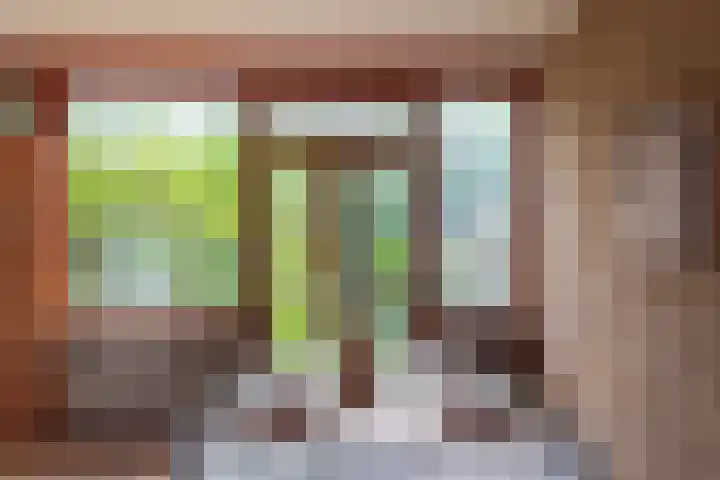 Elsa Brändströmstraat 192 Haarlem thumbnail 8