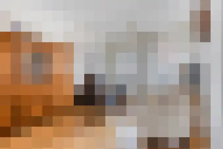 Elsakker 10 Wagenberg thumbnail 10