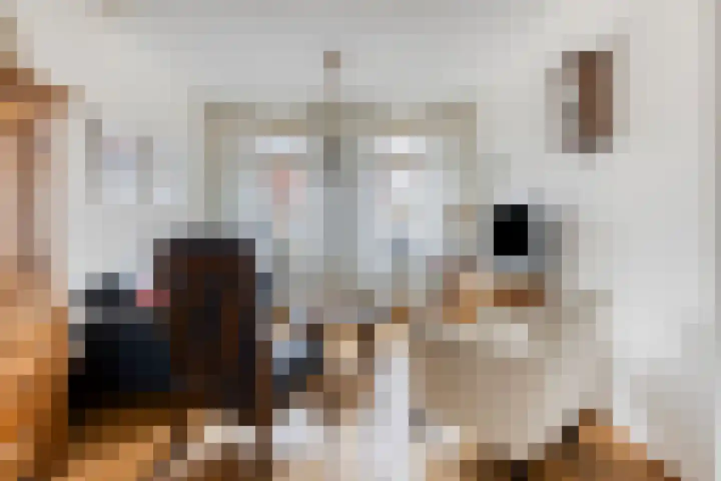 Elsakker 10 Wagenberg thumbnail 11