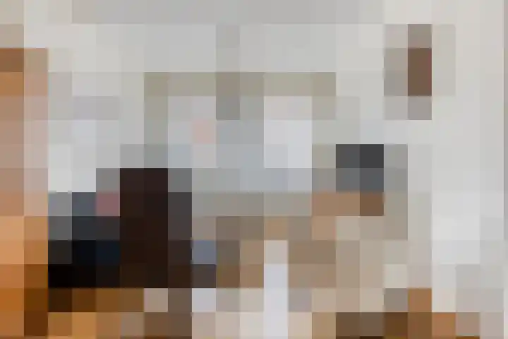 Elsakker 10 Wagenberg thumbnail 11