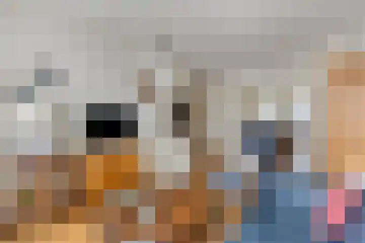 Elsakker 10 Wagenberg thumbnail 12