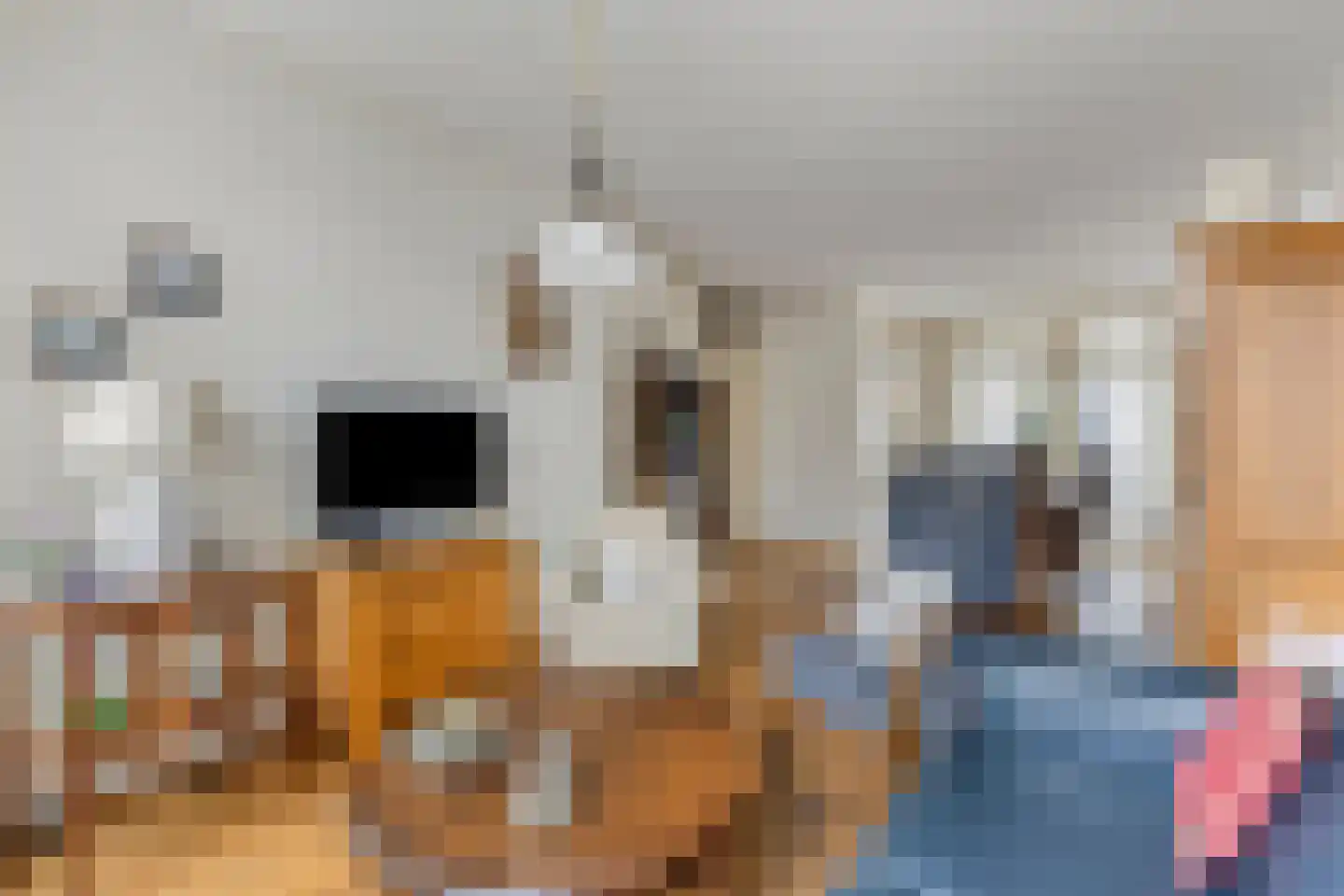Elsakker 10 Wagenberg thumbnail 12