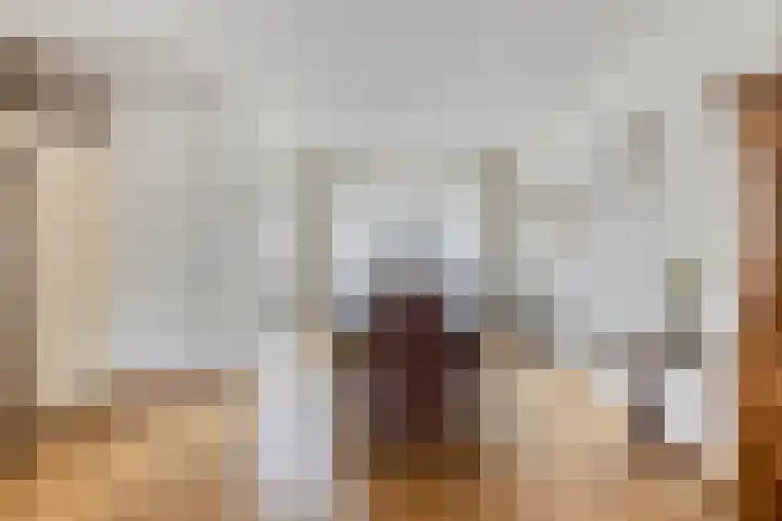 Elsakker 10 Wagenberg thumbnail 14